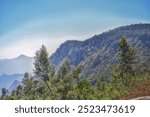 Elephant’s Nose Point is a unique rock formation located in Kodaikanal. Its uncanny resemblance to a dolphin’s nose offers breathtaking panoramic views of the surrounding Palani Hills.