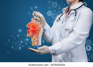 Nose and throat disease treatment concept. The doctor is showing the nose and throat. - Shutterstock ID 2076433456