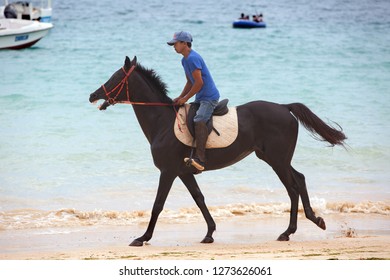 136 Nosy horse Images, Stock Photos & Vectors | Shutterstock