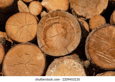 Not chopped round firewood stacked in pile, wooden texture - Shutterstock ID 2209453135