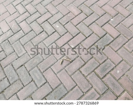 Not everything has to be perfect. Broken pavers, missing pieces, wet sand. Even the sidewalk has bad days. Beauty in the broken, stories in the cracks.