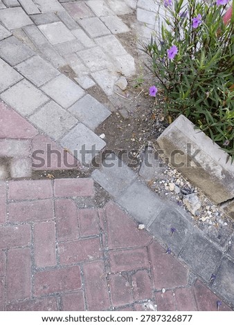 Not everything has to be perfect. Broken pavers, missing pieces, wet sand. Even the sidewalk has bad days. Beauty in the broken, stories in the cracks.