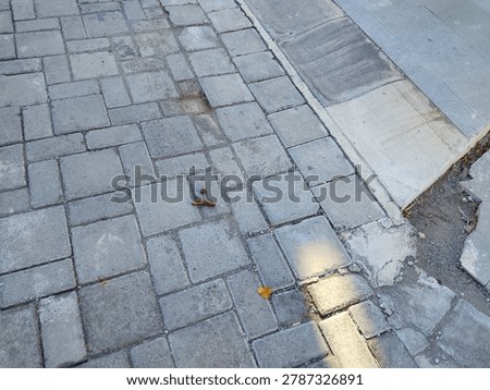 Not everything has to be perfect. Broken pavers, missing pieces, wet sand. Even the sidewalk has bad days. Beauty in the broken, stories in the cracks.