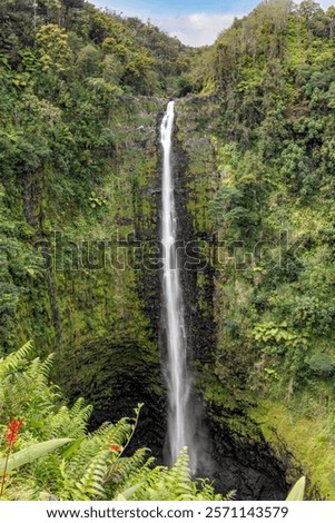 Not far from Hilo on northeastern side of the Big Island of Hawaii, Akaka Falls is a breathtaking 442-foot waterfall that plunges into a deep volcanic rock gorge amidst a lush tropical rainforest.