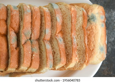 not fresh mouldy slice of stale bread. Mould on sliced bread with harmful bacteria. Fungal mold Spoiled, moldy inedible food Rotten and uneatable. modify fungus into an anti-virus chemical.