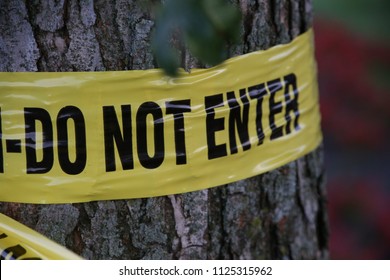 A “Do Not Enter” Sign Tape Wrapped Around A Tree At A Parade