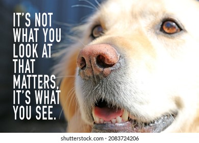 Its Not What You Look At That Matters, Its What You See motivational quote with Golden Retriever dog background - Shutterstock ID 2083724206