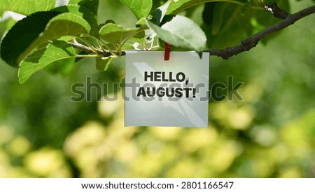 A note with the words Hello, August! on it clipped to a green tree branch. Close up.