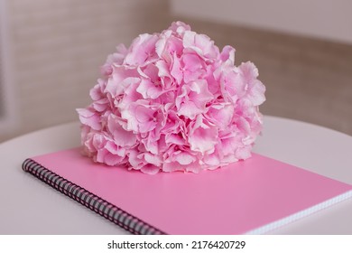 Notebook and hydrangea with copy space on pink background. Stylish background for beauty, fashion and business sphere