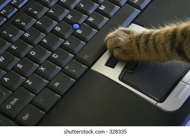 notebook / laptop computer with cat paw using mouse button