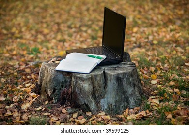 A notebook on a stump