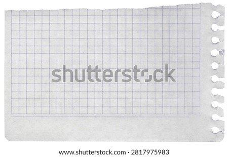 Notebook ripped graph paper piece with detailed texture of torn edges perforation isolated for message background.