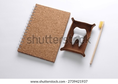 Notebook, tooth model and toothbrush on a white background. Dental Hygen concept