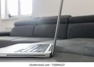 Notebook work with statistics on sofa business