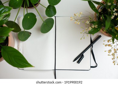 Notebook workplace flat lay white home office workplace green potted plants indoor concept notes pen journaling writing at home hobby  isolation spring mindfulness planner top view minimal lifestyle