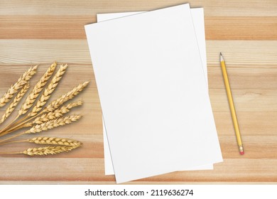 Notecard, Postcard, Greeting Card Mockup, Envelope, Grass, Blank Letter Paper