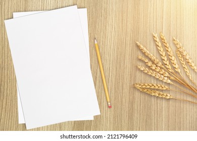 Notecard, Postcard, Greeting Card Mockup, Envelope, Grass, Blank Letter Paper