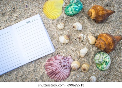 Notepad with pencil and starfish, shell on sand background or on the beach of sea using wallpaper for education photo.Take note of the product for book with paper concept or copy space and refreshing.