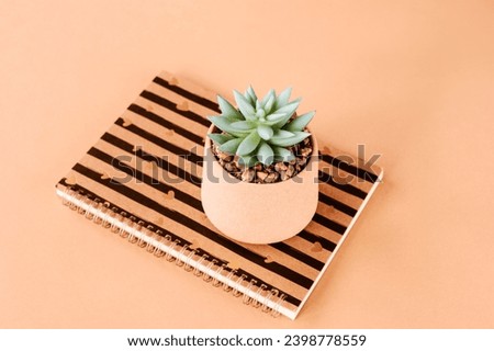 Notepad and succulent on a peachy table. Minimal composition. Top view. Color of the year 2024 - Peach Fuzz.