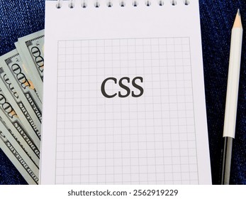 A notepad with the term CSS written in grid format next to bundles of banknotes and a pencil highlights the economic value of mastering web design.