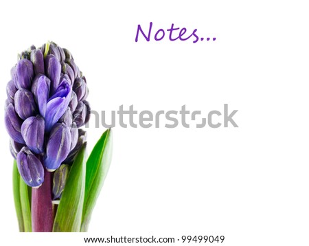 Notes with hyacinth background