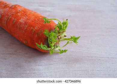 Not-fresh,rotten Carrot On A Wooden Table.