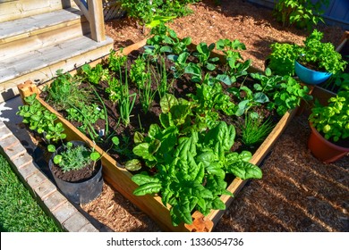 Nothing is fresher than food from your own garden. Planted in spring, this raised backyard garden bed is loaded with a variety of herbs and vegetables ready to be harvested in summer.