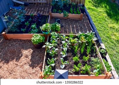 10,074 Square vegetable garden Images, Stock Photos & Vectors ...