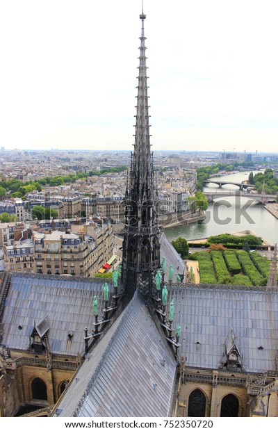 Notre Dame Cathedral Roof View Paris Stockfoto Jetzt