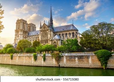 NOTRE DAME CATHEDRAL 8X10 PHOTO PICTURE FRANCE