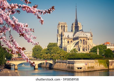 Notre Dame De Paris At Spring, France