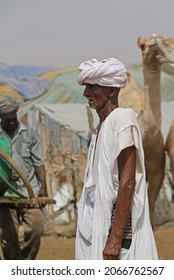 Nouakchott, Mauritania - October 2021: People And Camels On Camel Market Near Nouakchott