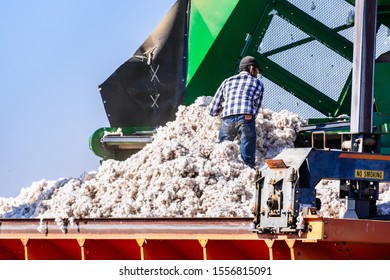 7,997 Cotton Farmers Images, Stock Photos & Vectors | Shutterstock