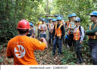 Paragominas/Pará/Brazil - Nov 18, 2014: Technician From The IFT Providing A Course On Sustainable And Low Impact Forest Management For A Group Of Students In An Amazon Forest Area