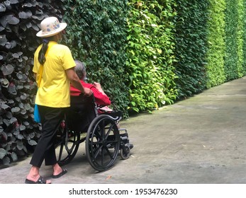 Nov 21, 2020 - Pattaya : A Female Caregiver Take An Elderly Female Family Member On A Wheelchair Wandering Around The Garden, On The Concrete Pedestrian Path With Green Wall Of Ornamental Plants.