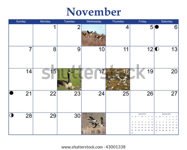 november 2010 wildlife calendar page geese stock photo edit november calendar 2010