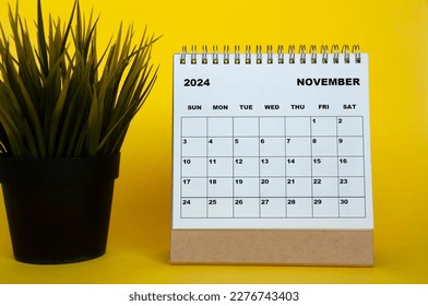November 2024 month calendar with table plant on yellow cover background. Monthly calendar concept.