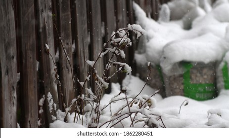 November 22, 2020 - Mississauga, Ontario Canada. A Sudden Snowstorm Hit In The Greater Toronto Area.