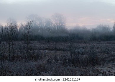 November dreamy frosty morning. Beautiful autumn misty cold sunrise landscape in blue tones. Fog and hoary frost at scenic high grass copse. - Shutterstock ID 2241351169