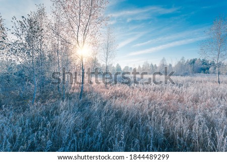 Similar – Image, Stock Photo Cold winter morning Winter