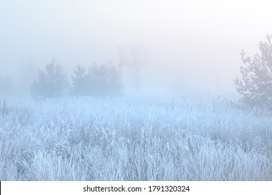 November frosty morning. Beautiful autumn misty sunrise landscape. Foggy morning and hoary frost at scenic high grass meadow. - Powered by Shutterstock