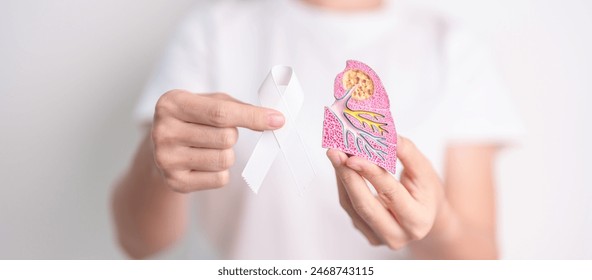 November Lung Cancer Awareness month. Doctor with Smoker Lung anatomy model and White ribbon in hospital. Healthcare and World Cancer day concept - Powered by Shutterstock