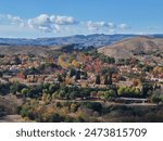 In November, the Sycamore and native Cottonwood trees reveal their autumn colors in San Ramon, California