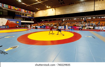 Wrestling Mat Images Stock Photos Vectors Shutterstock