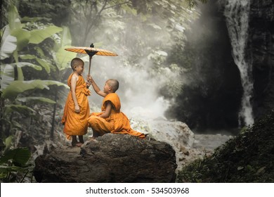 Novices monk in the forest.