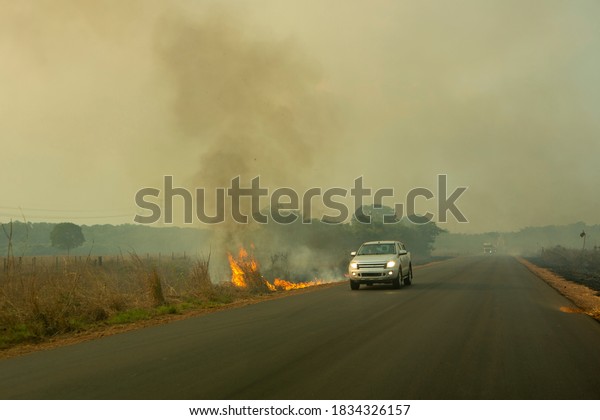 Novo Progresso,\
Para / Brazil September 21, 2019: Fire and smoke on BR 163 road on\
Amazon during dry season and blurred car driving fast near the\
flames. Para state, Brazil.\
