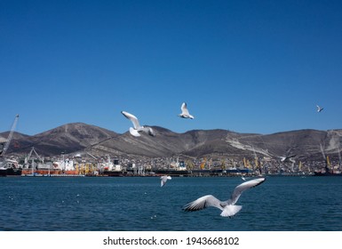 Novorossiysk, Southern Federal District. Russia 03.07.2021. Sea ​​port. View From The Opposite Bank.