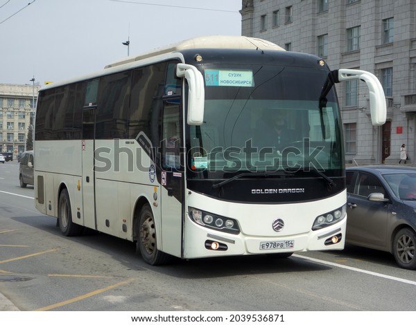 Novosibirsk, Russia - April 26 2021: white\
metallic color new chinese tourist small little bus Golder Dragon\
ХМL6957JR made in China, route intercity tour to Suzun driving on\
city urban broad\
street