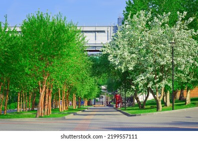 Novosibirsk, Siberia, Russia, 05.18.2022. Mikhailovskaya Embankment Of The Ob River. Spring Blooming Park Under The Metro Bridge