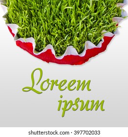 Novruz Bayrami